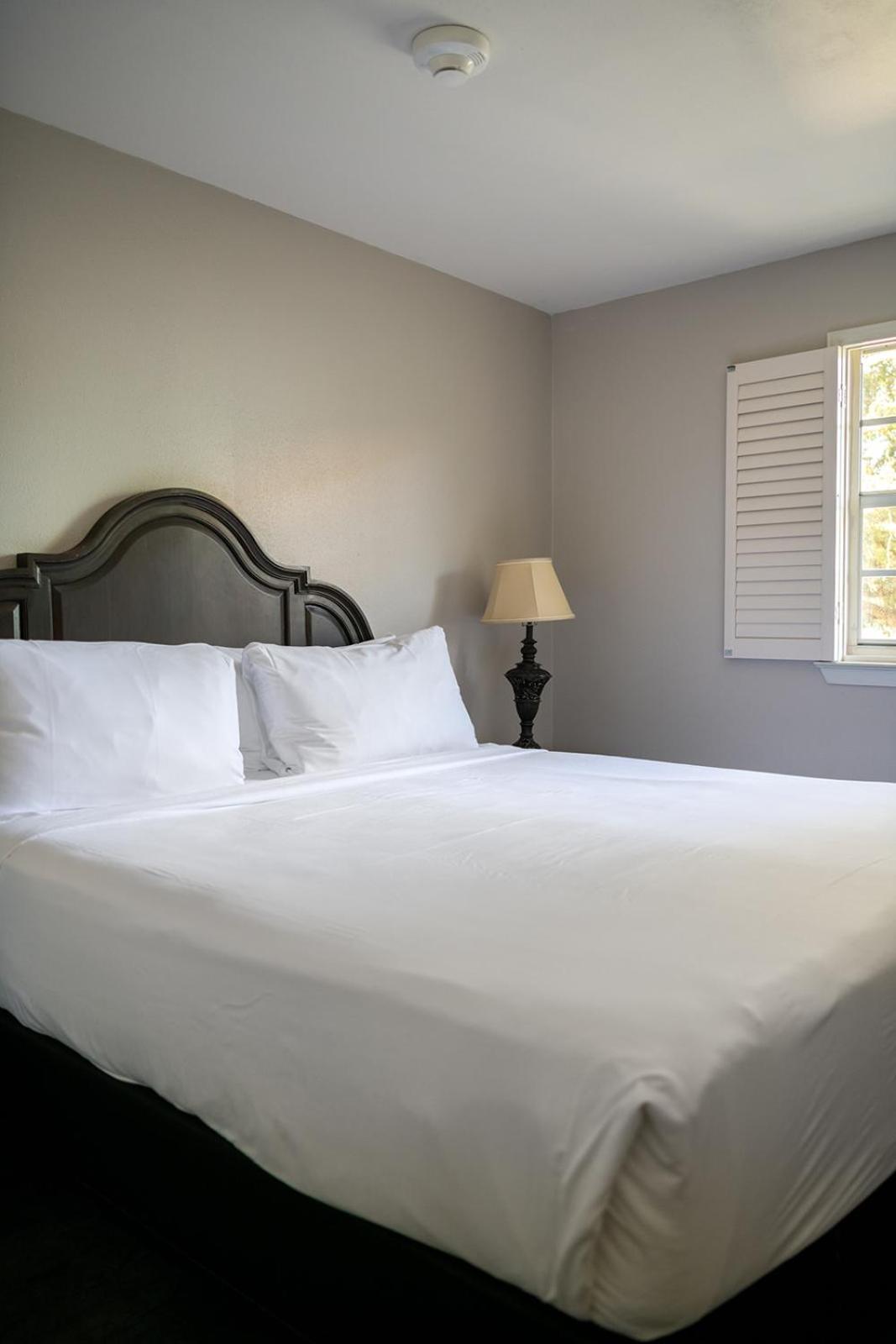 French Quarter Suites Hotel New Orleans Exterior photo